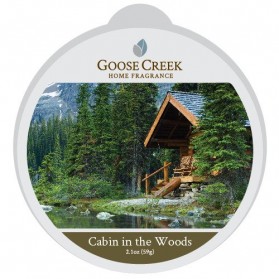 Cabin in The Woods wosk Goose Creek