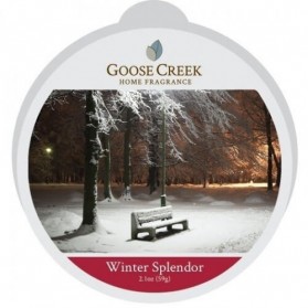 Winter Splendor wosk Goose Creek